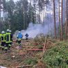 Brand B Wald