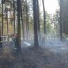 Brand B Wald